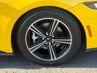 2024 Ford Mustang EcoBoost Premium