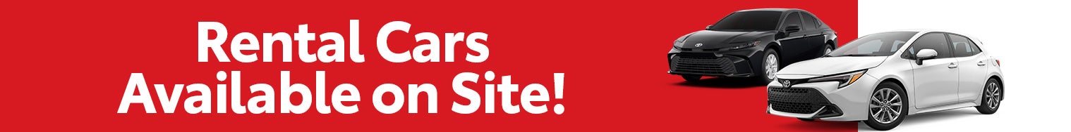 Rental Cars Available on Site!