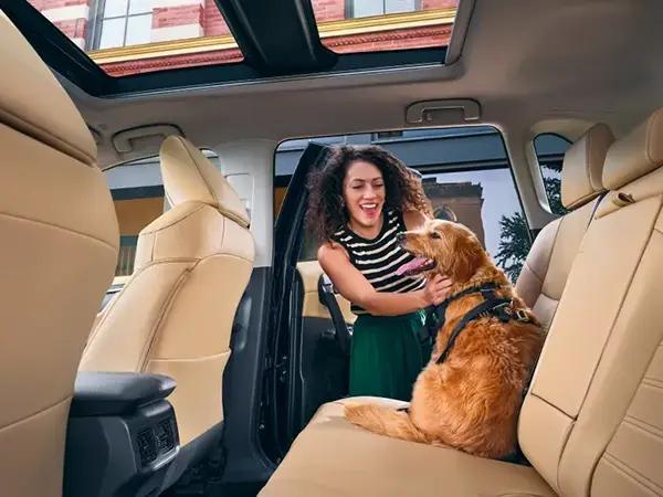 2025 Toyota RAV4 Hybrid interior